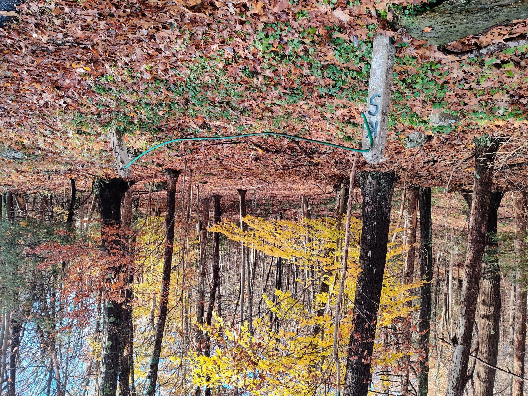 Property Photo: 150 Soper Road NY