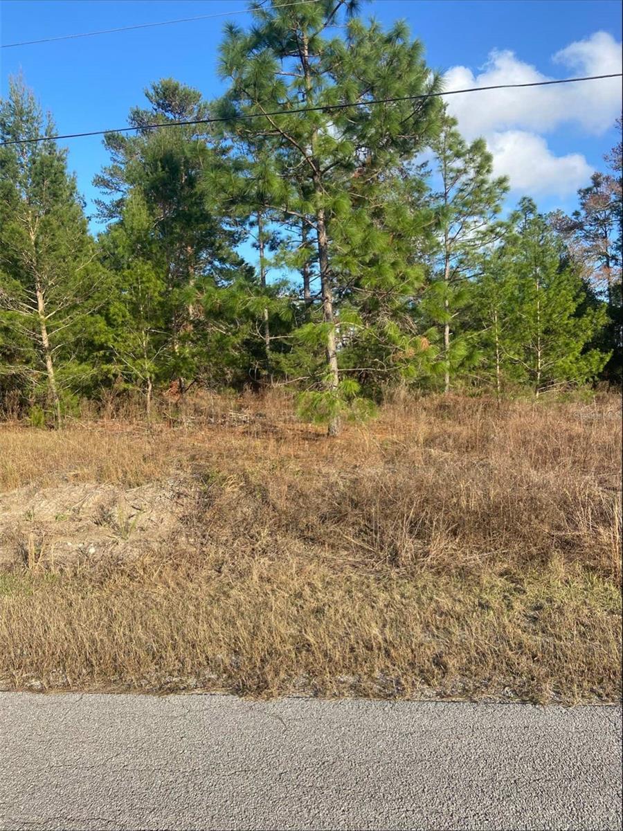 Property Photo: Tbd SW Gardenia Court FL 34431