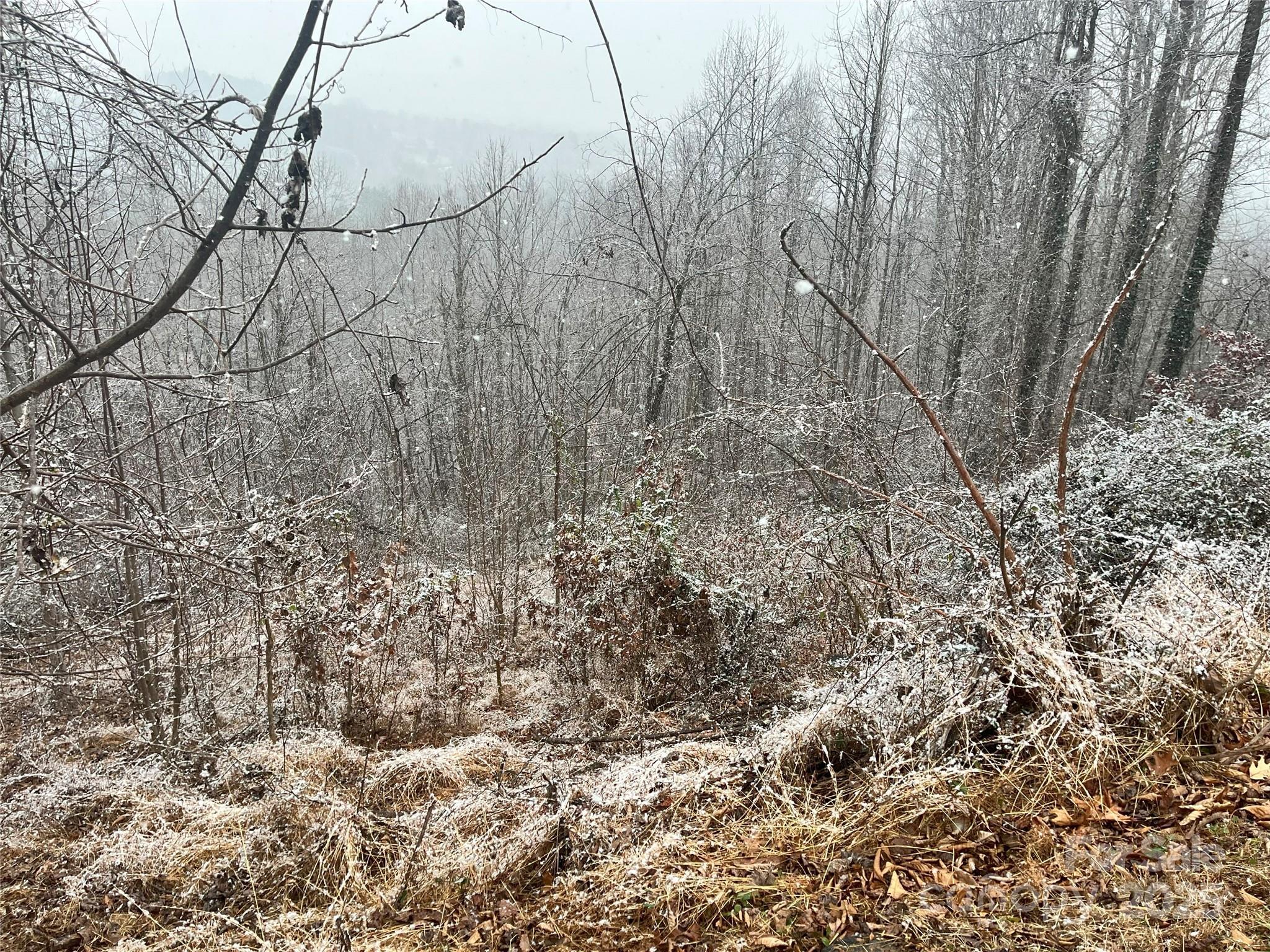 Property Photo: 49 Ben Lippen School Road 2/Ph1a NC 28806
