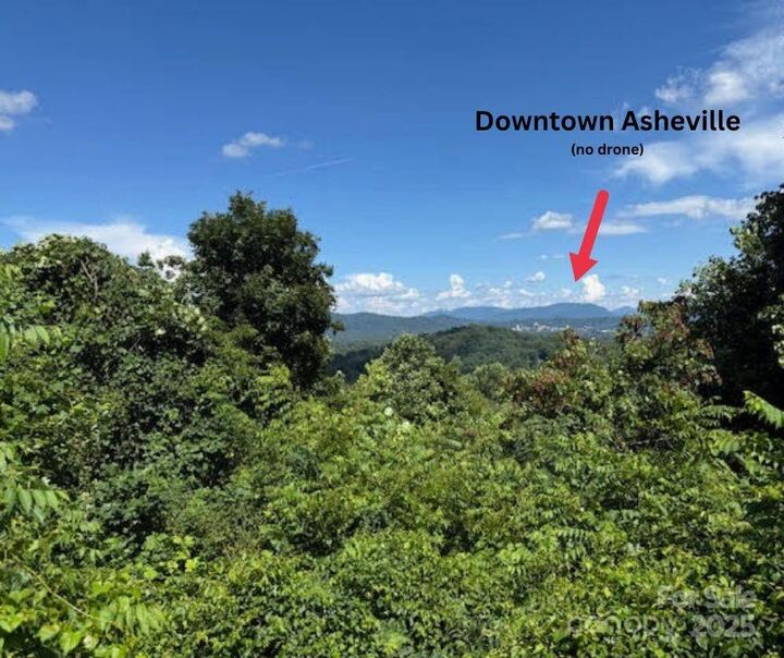 Property Photo:  49 Ben Lippen School Road 2/Ph1a  NC 28806