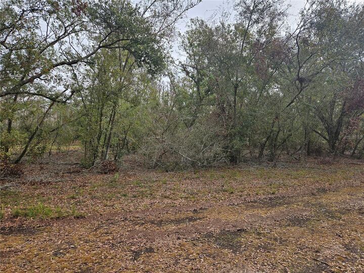 Property Photo: Candis Rd FL 33565