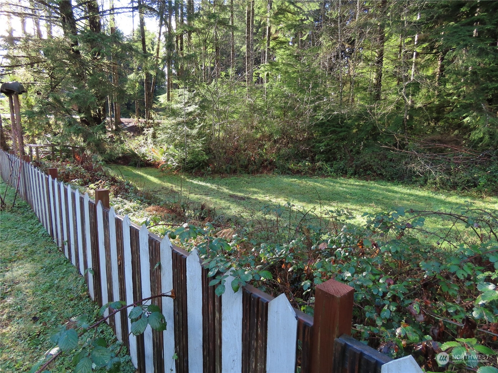 Property Photo:  21  Nelson Place  WA 98535 