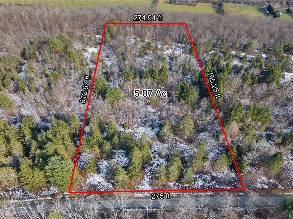 0 Level Green Road  Berkshire NY 13736 photo