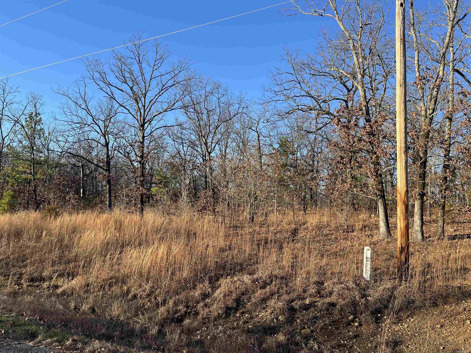 Property Photo: 0 Aaron Loop AR 72173