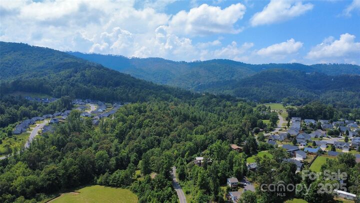 Property Photo: 830 Adelston Lane NC 28804