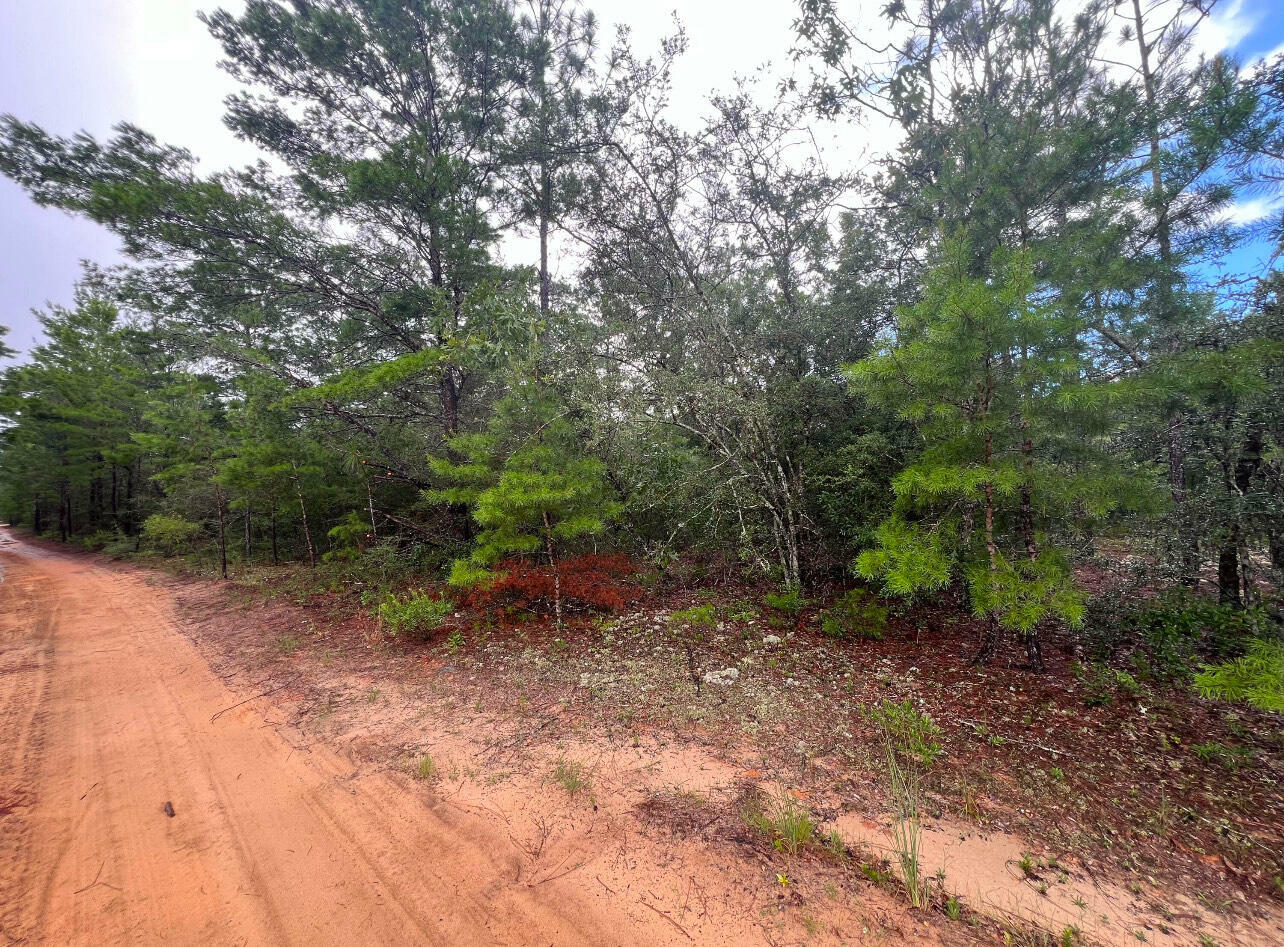 Property Photo:  Lot 2 Round Table Road  FL 32433 