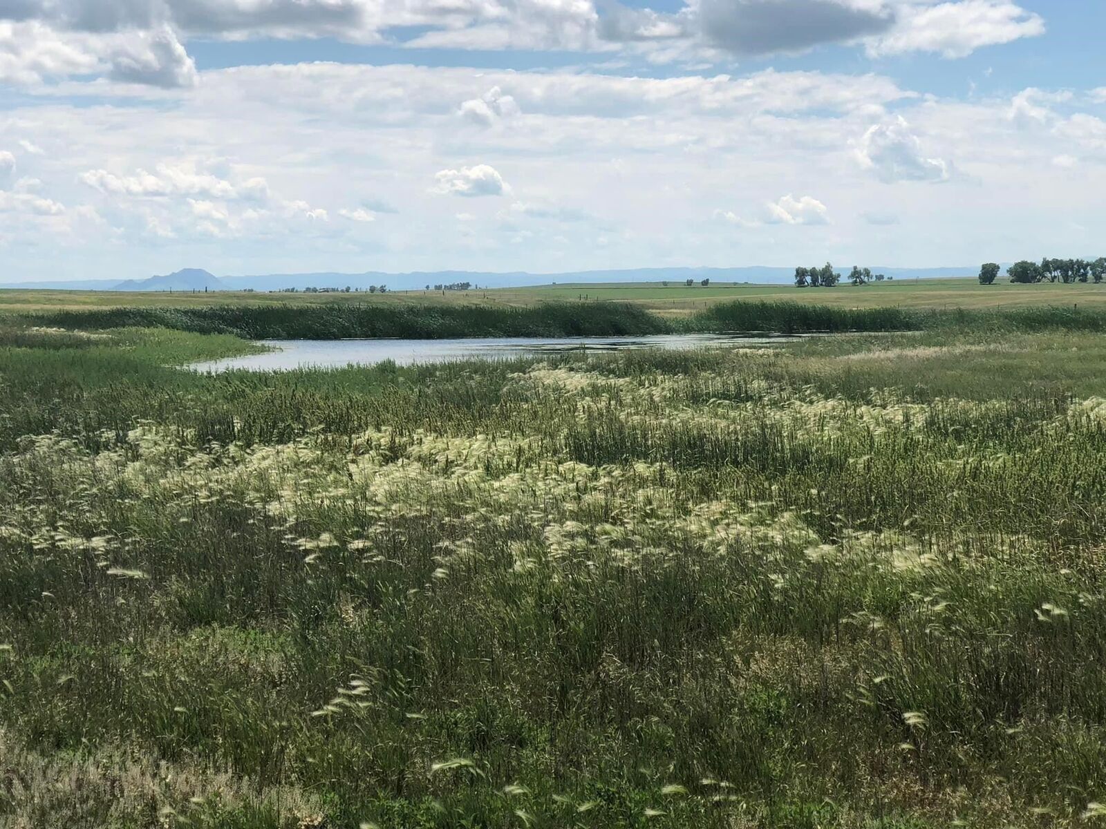 Property Photo: 40 Acres Tbd Old Highway 212 SD 57760