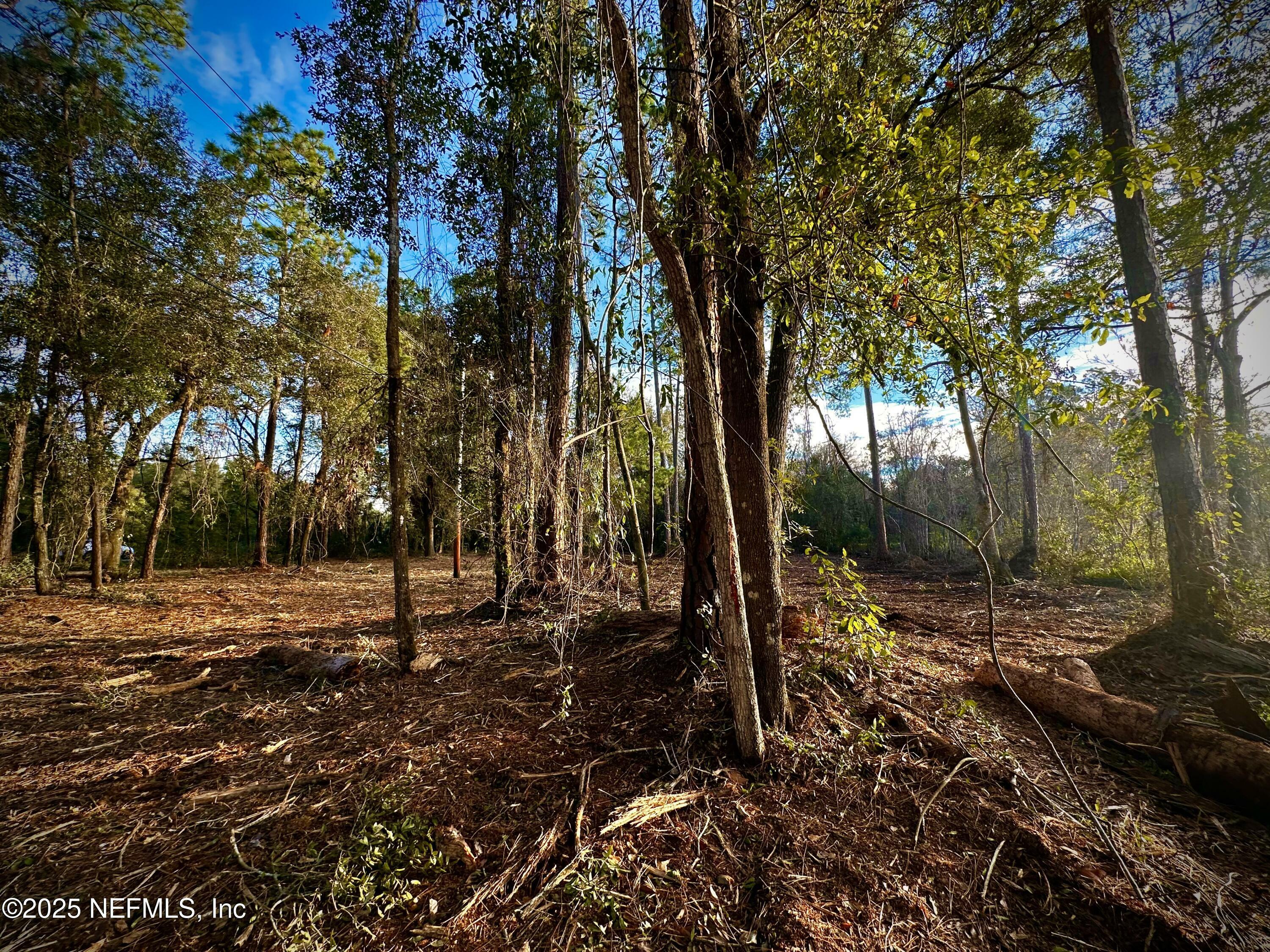 Property Photo:  1181 S State Road 19  FL 32177 