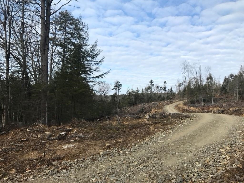 Property Photo:  Map 6 Lot 96-2 Granite Lake Road  NH 03457 