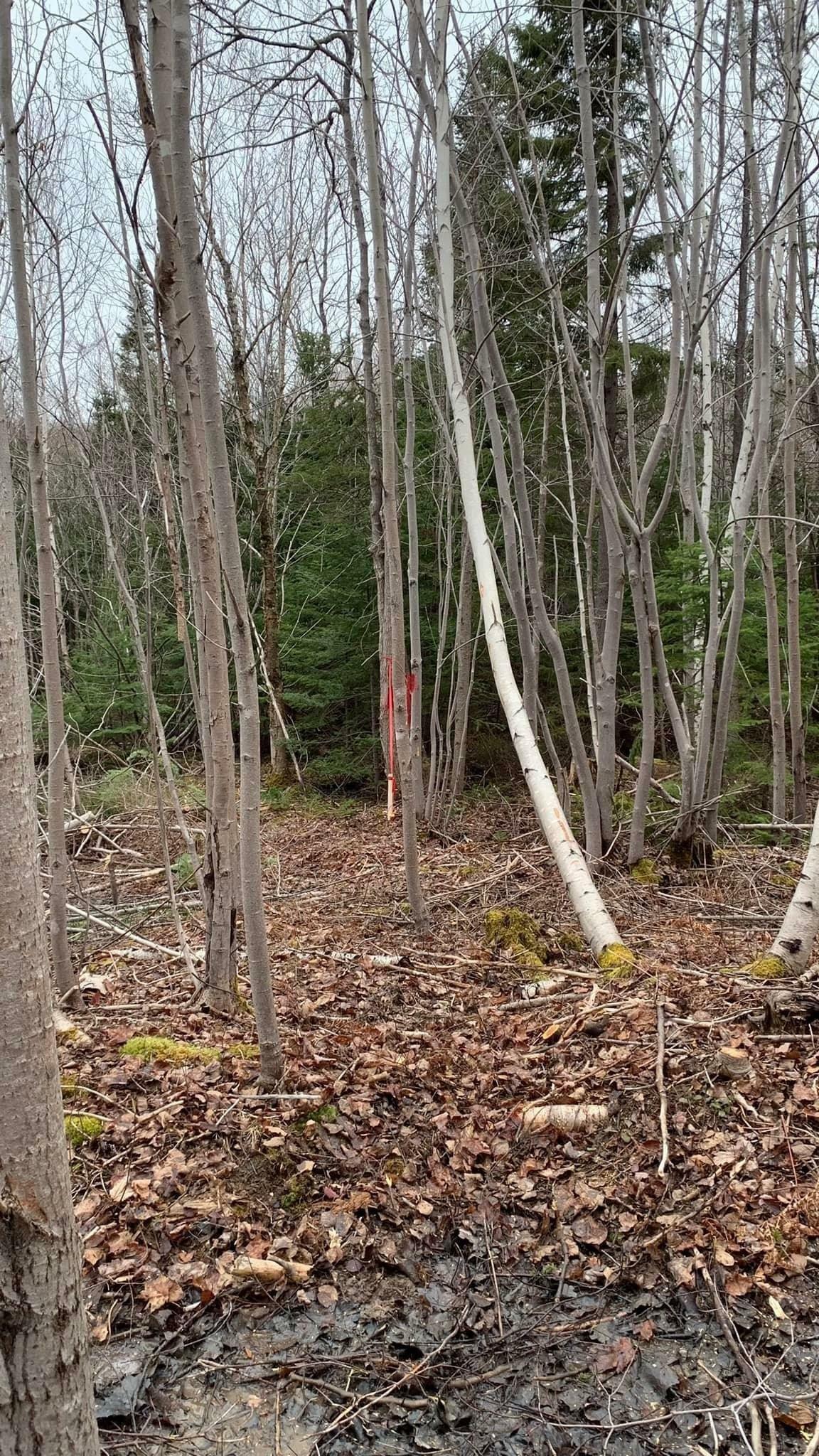 Property Photo:  Lot 24-4 Little Harbour Road  NS B2H 3T5 