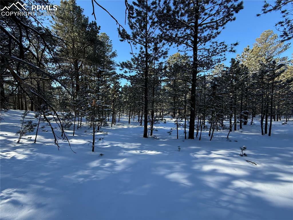 Property Photo:  8235 Bar X Terrace  CO 80908 