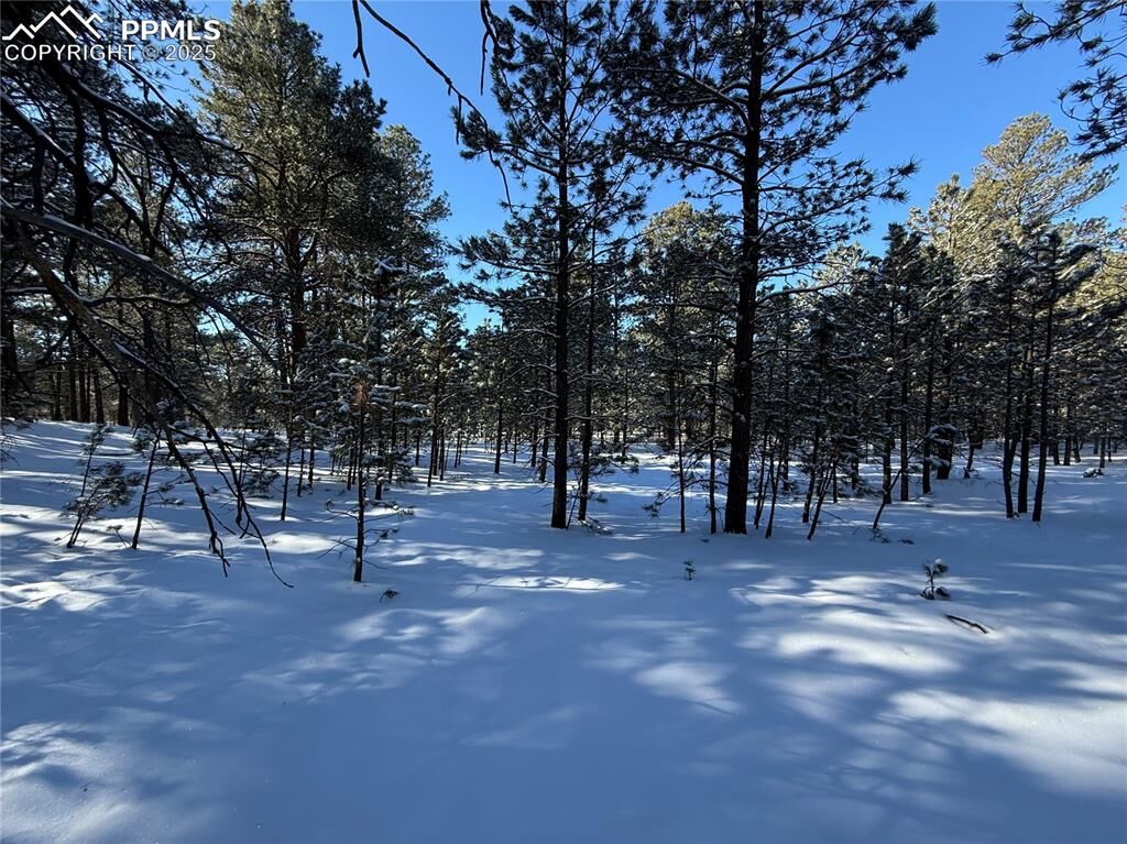 Property Photo: 8235 Bar X Terrace CO 80908