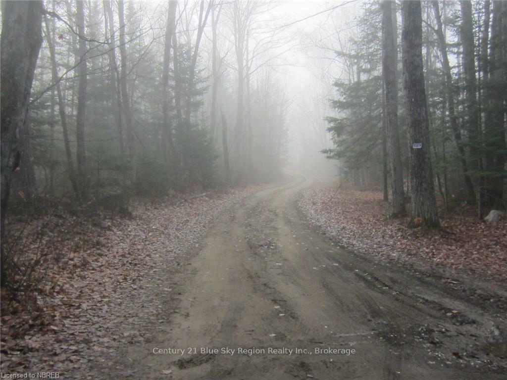 Property Photo:  Lot 28 Concession 11 Rd  ON P0A 1H0 
