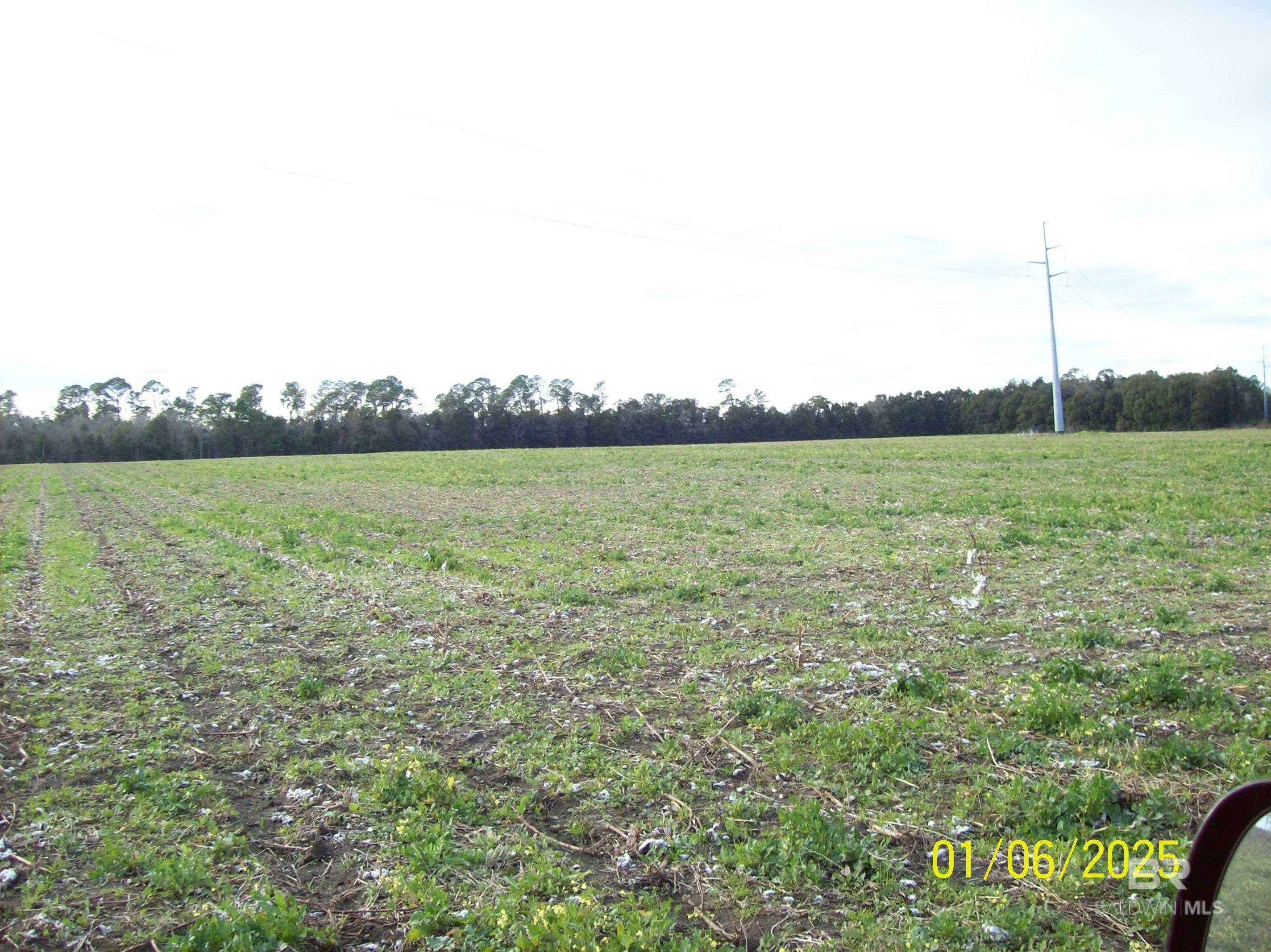 Property Photo:  0 County Road 28  AL 36580 