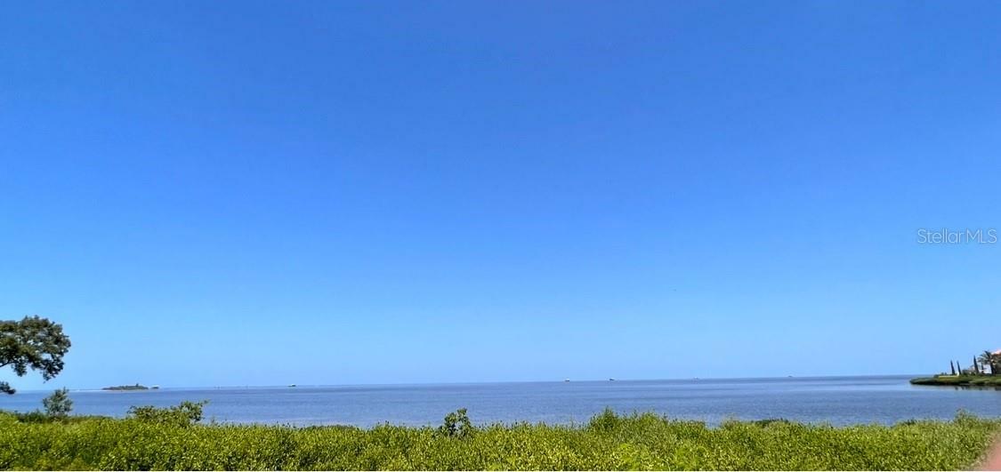 Property Photo:  25 Harborpointe Drive  FL 34668 