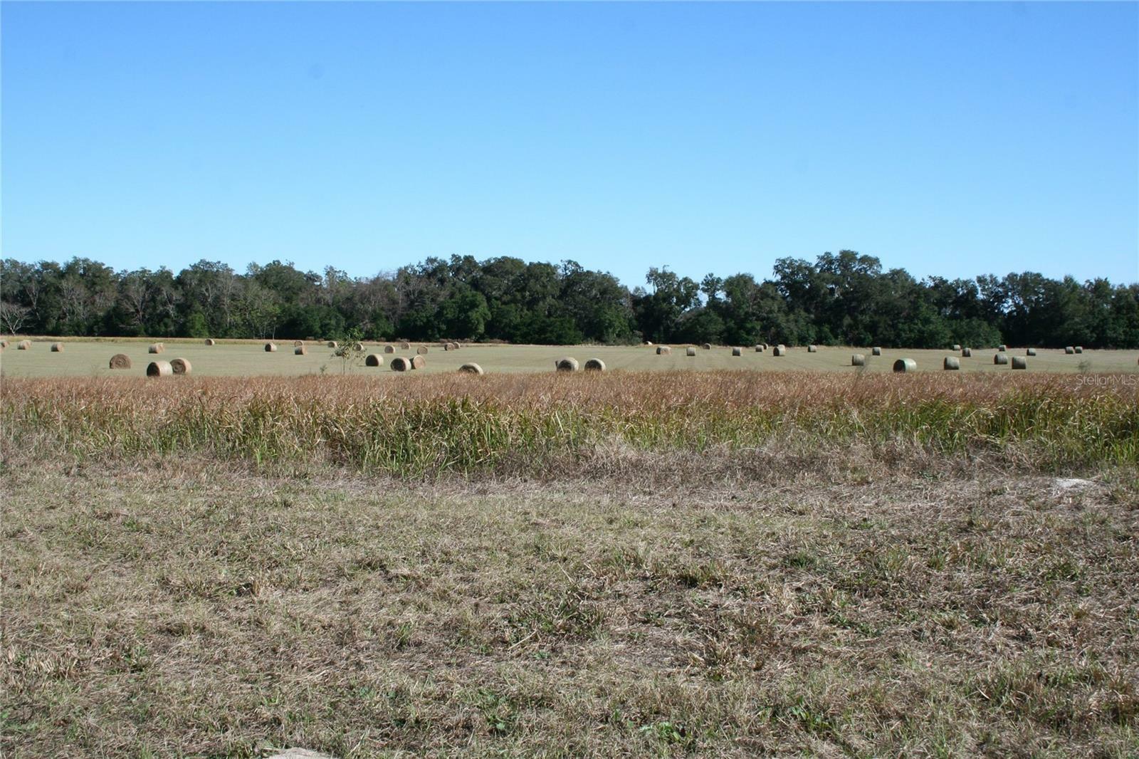 Property Photo:  0 S US Hwy 301  FL 34491 