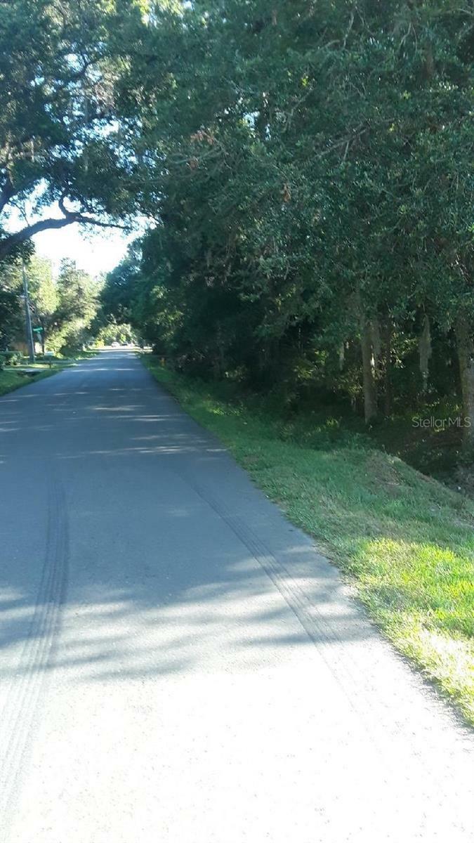 Property Photo:  East Avenue  FL 34601 