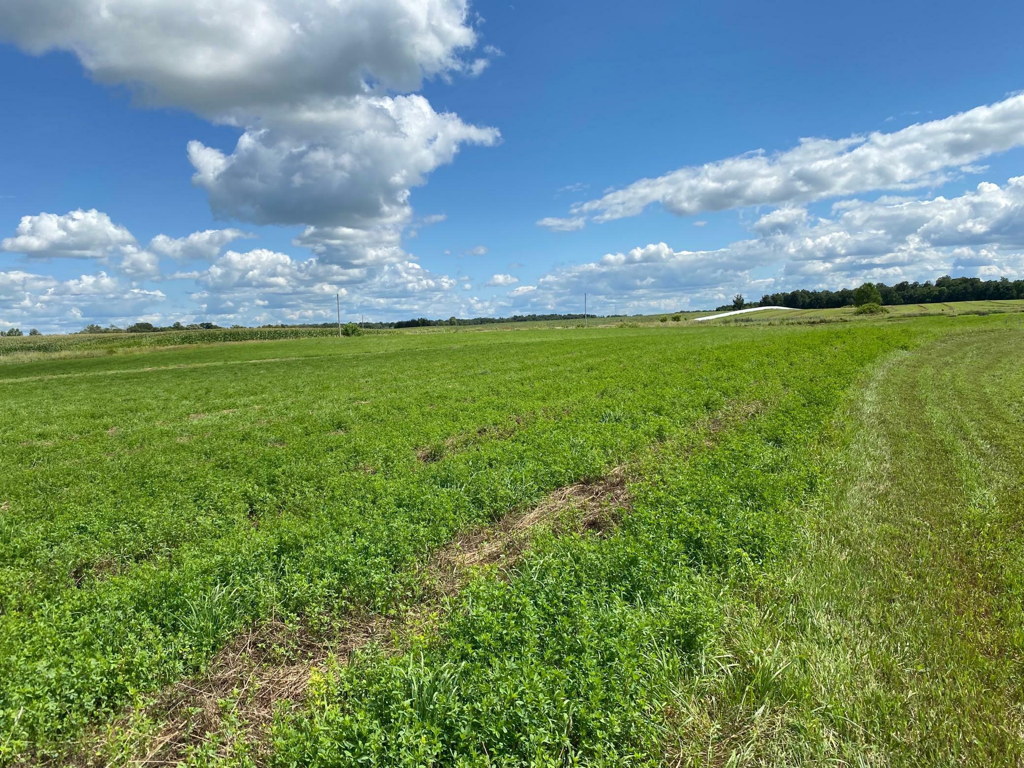 Property Photo: Xx5 Serenity Drive SW MN 56308
