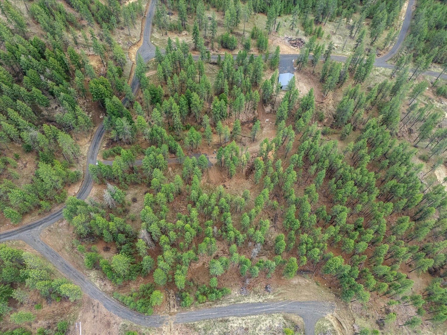 Property Photo: Nka Weaver Way 2A WA 99006