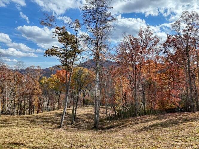 Property Photo: 902 Deitz Cable Road NC 28909