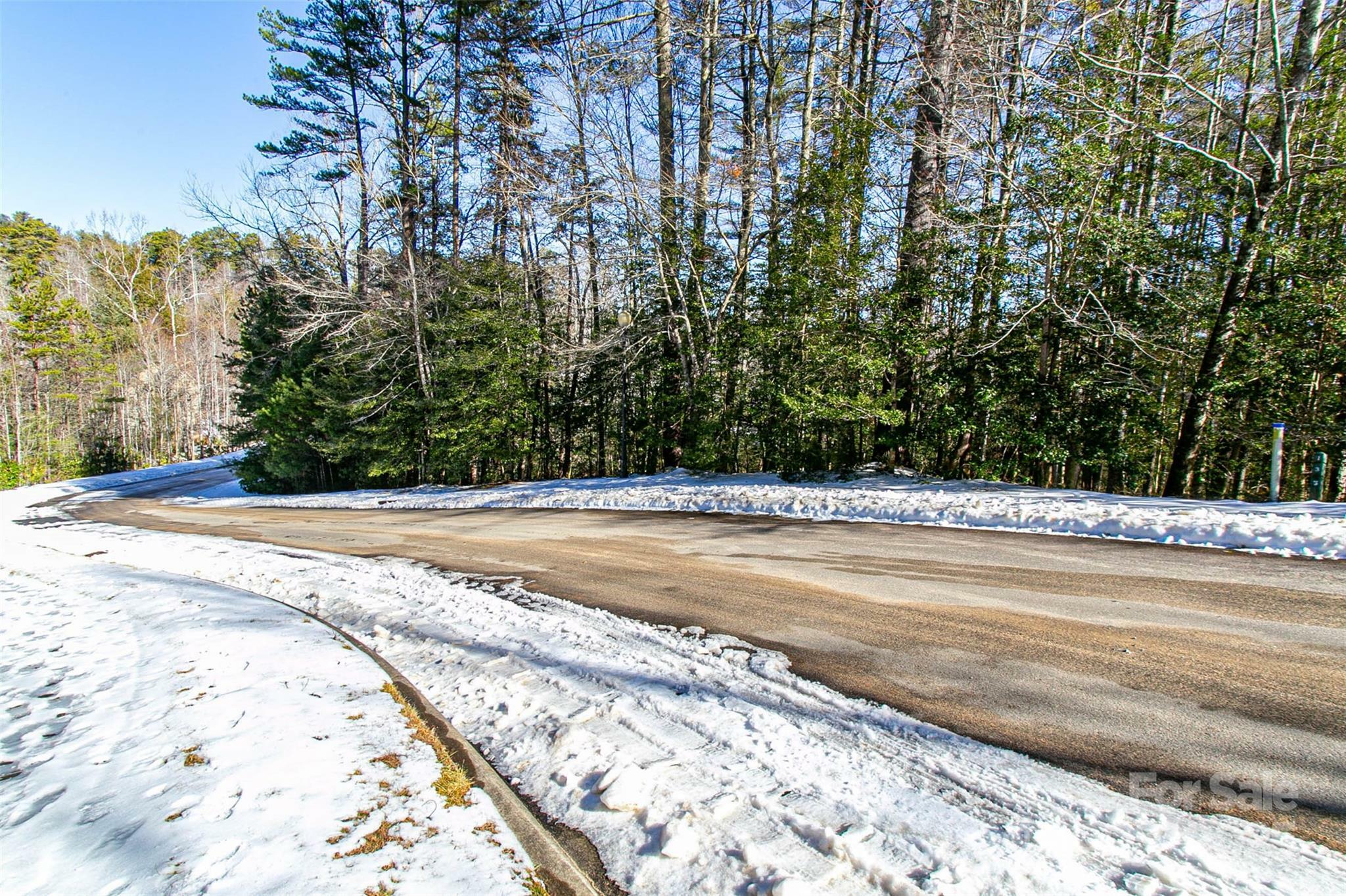 Property Photo:  Tbd Camptown Road M139  NC 28712 