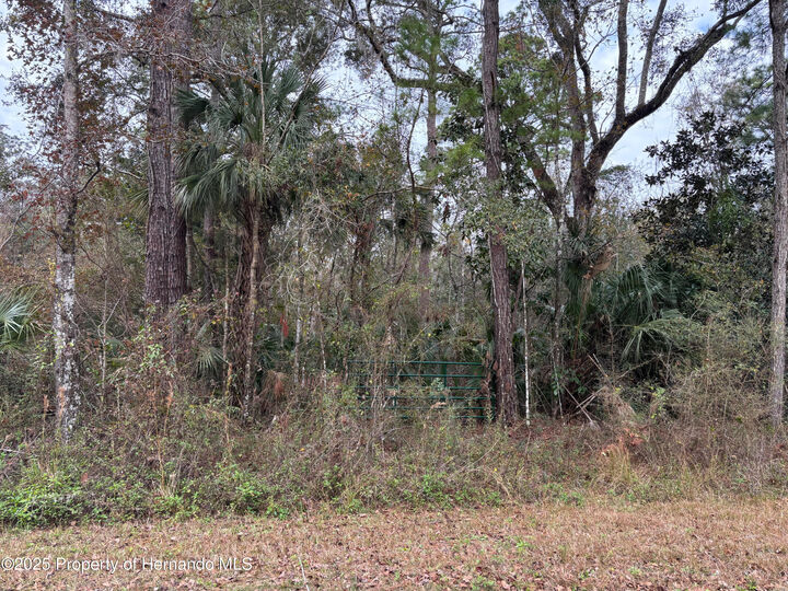 Property Photo:  Lot 3 Carolina Dove Road  FL 34614 