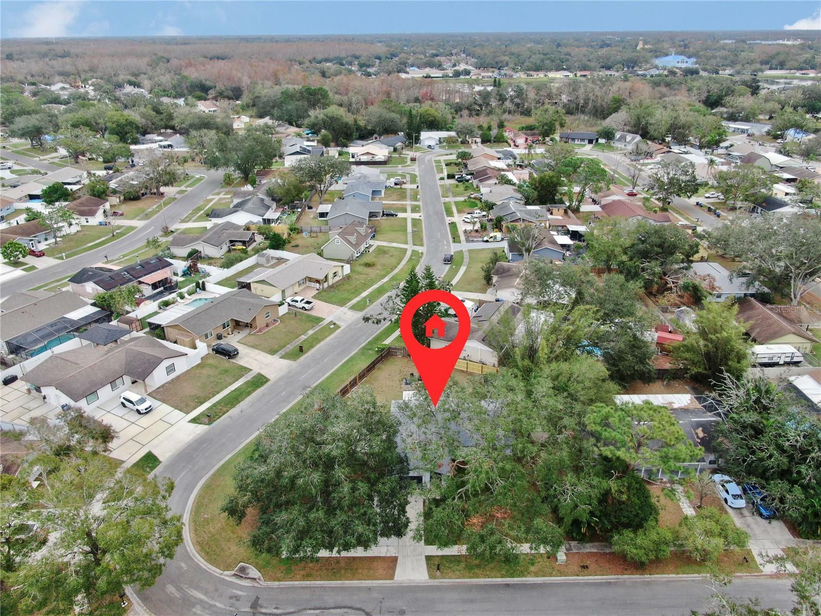 Property Photo:  6207 Frost Drive  FL 33625 