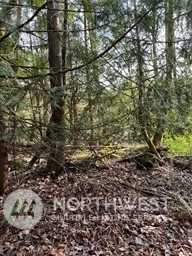 Property Photo:  11912  198th Avenue SE  WA 98027 