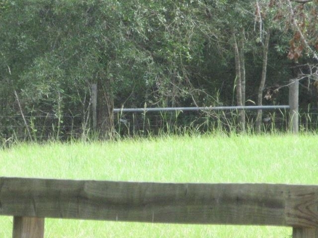 Property Photo: Sandbar Rd TX 77639