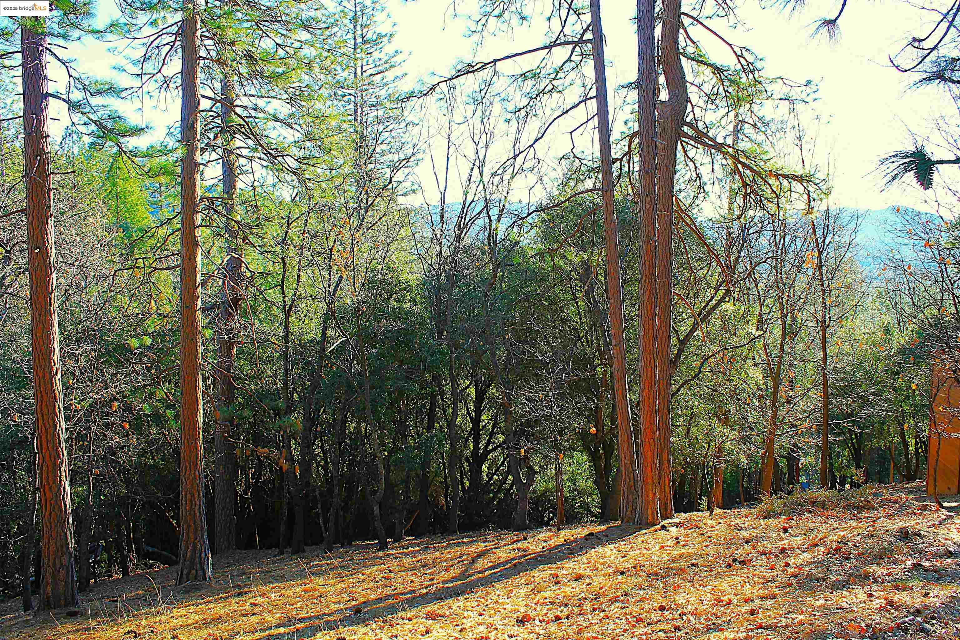 Property Photo: 23753 Rusty Spur Road CA 95370