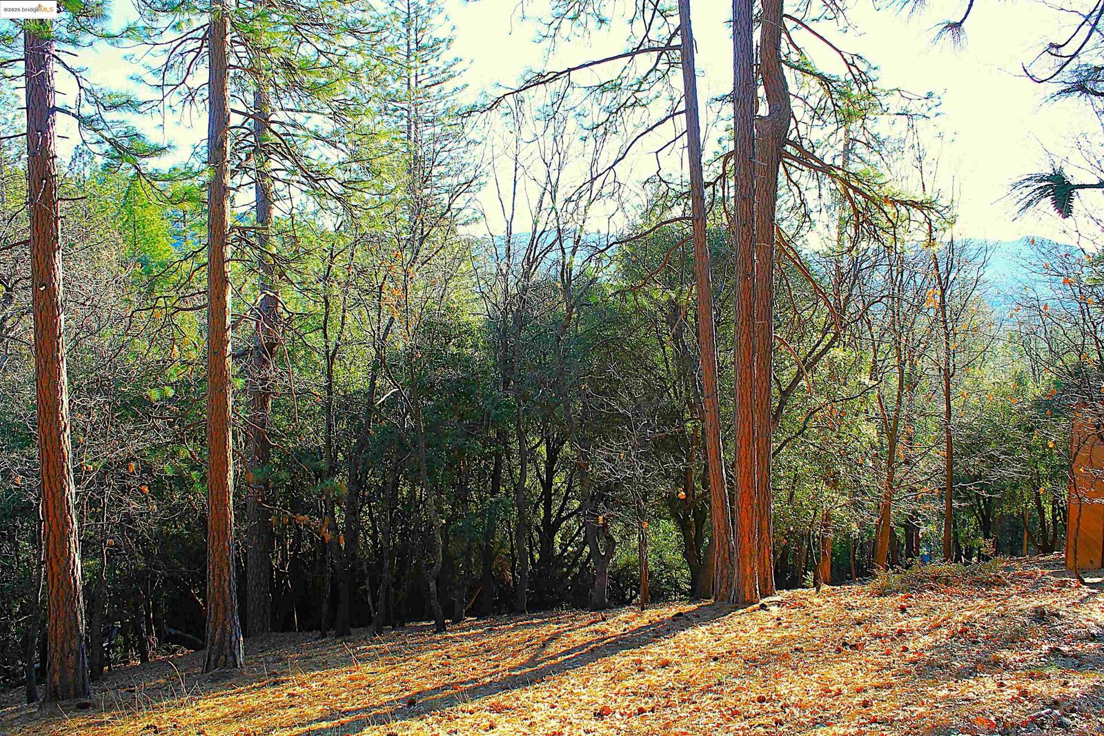 Property Photo: 23753 Rusty Spur Road CA 95370