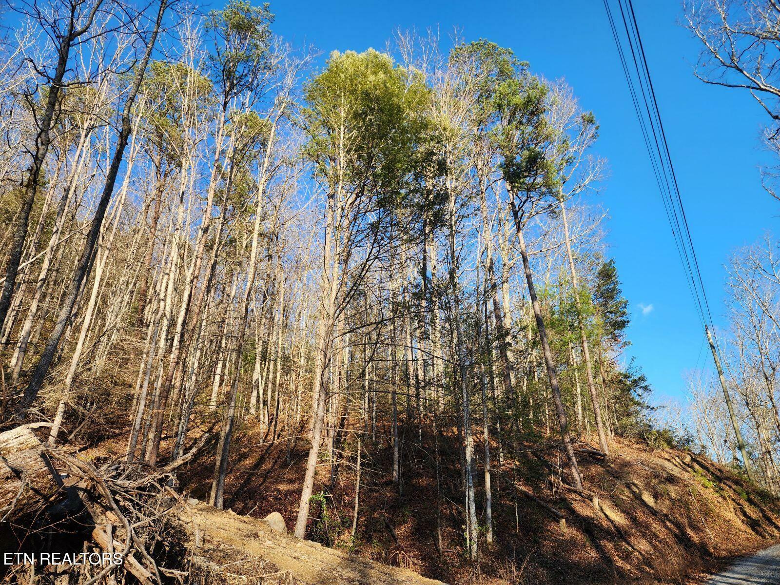 Property Photo:  Lumber Jack Way  TN 37876 