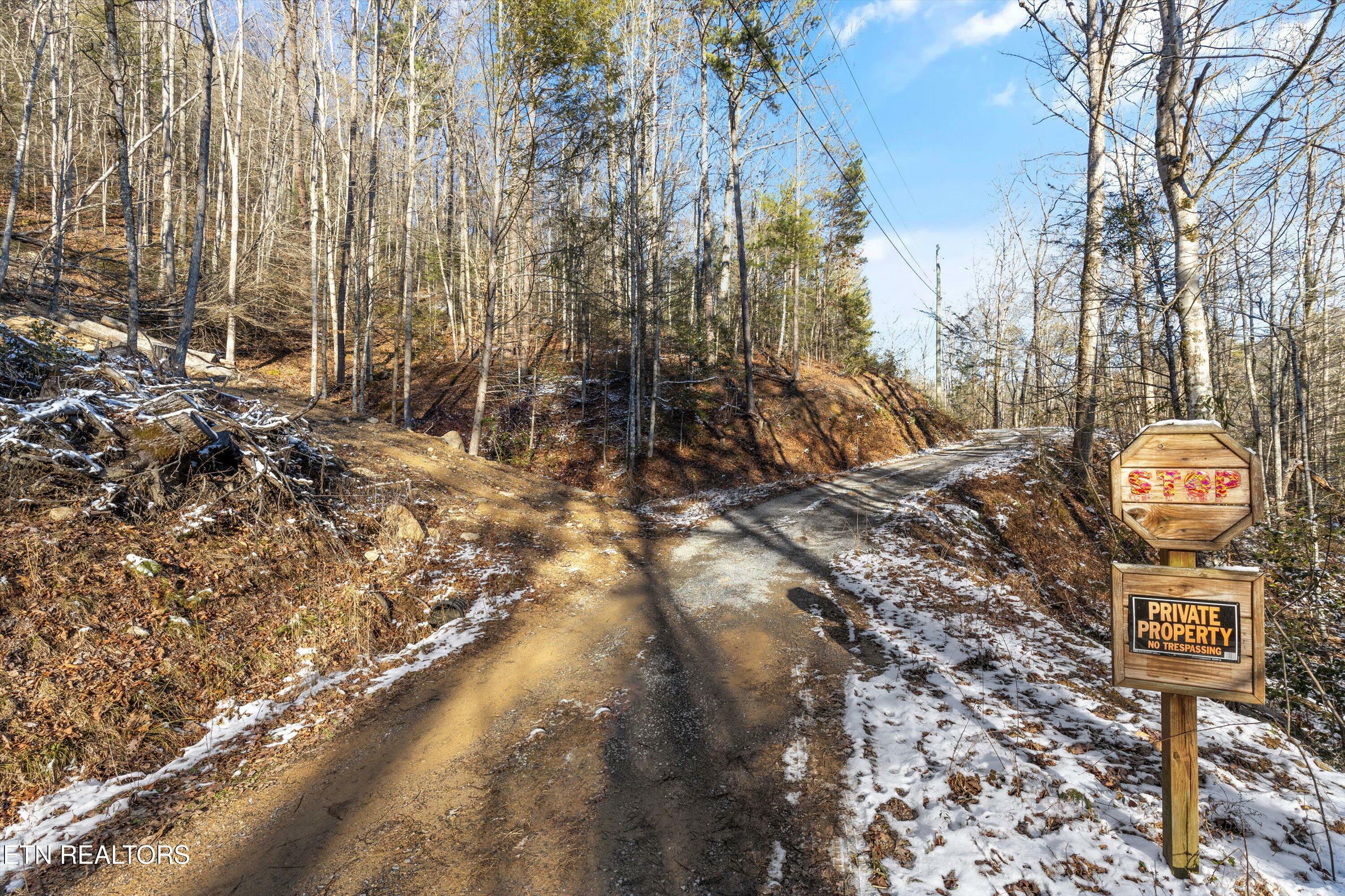 Property Photo:  Lumber Jack Way  TN 37876 