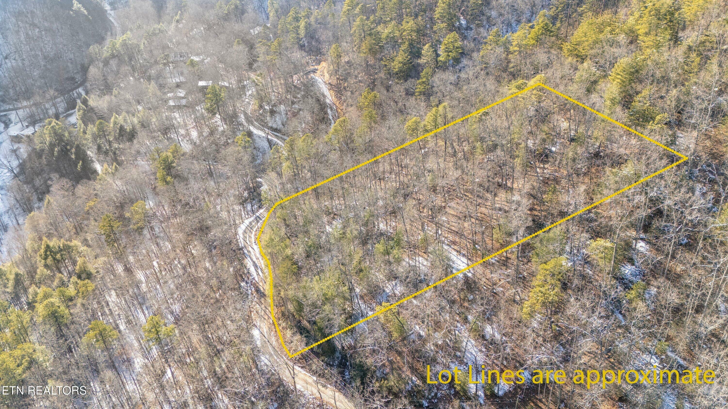 Property Photo:  Lumber Jack Way  TN 37876 