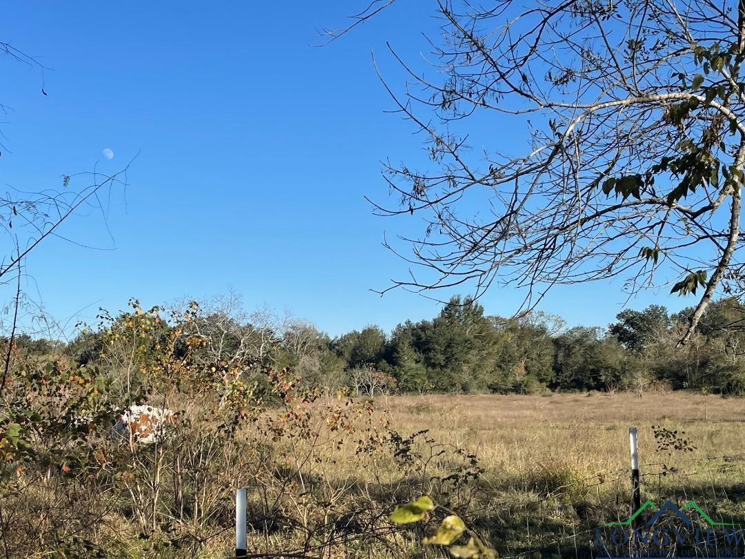 Property Photo: Tbd Cemetary Rd, Manvel TX 77578-3947