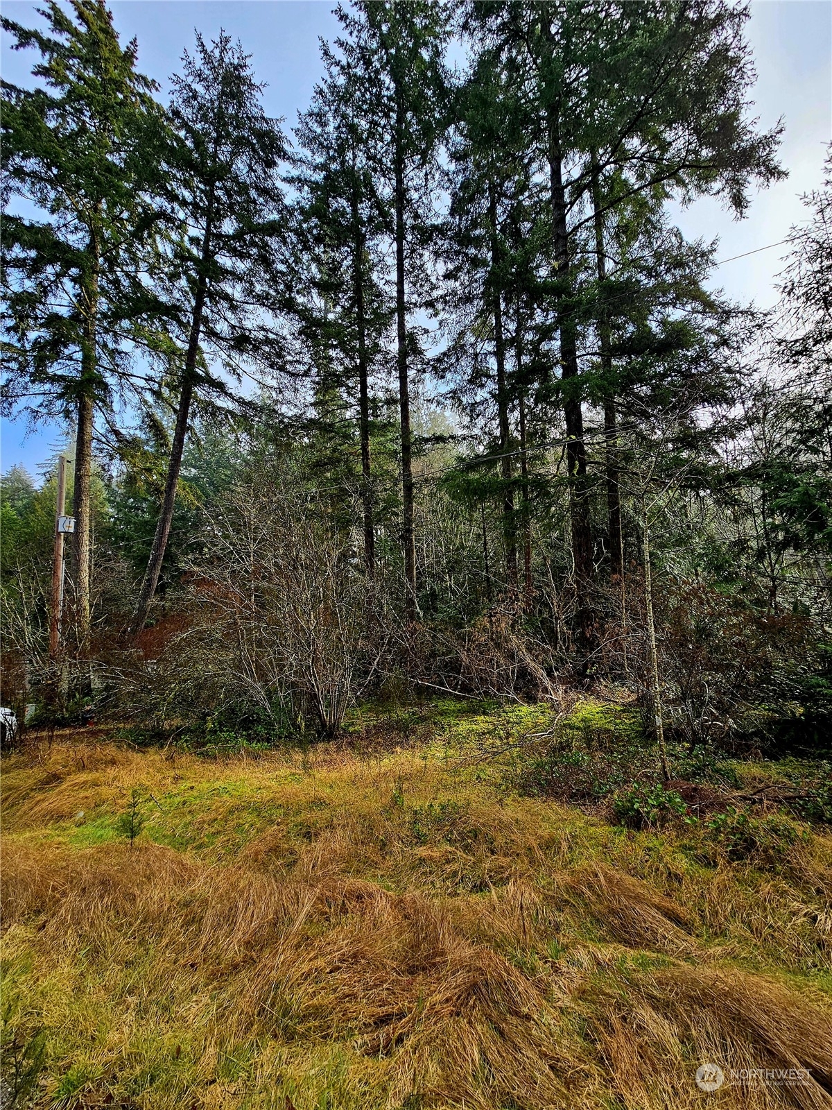 Property Photo:  2590 E Mason Lake Road  WA 98584 