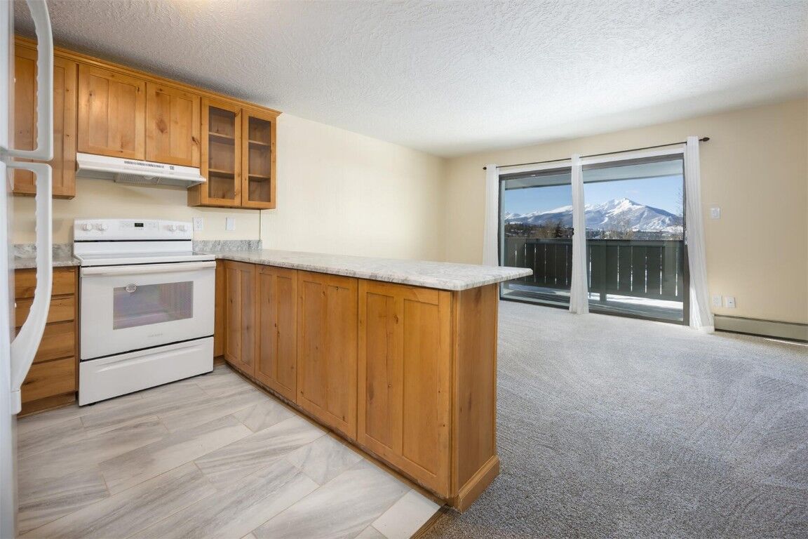 Property Photo:  803 Straight Creek Drive 301  CO 80435 