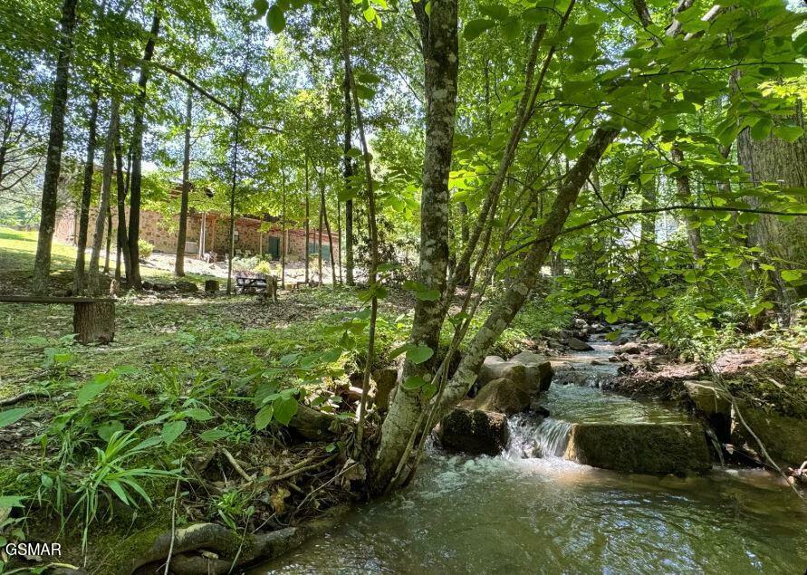 Property Photo: 2561 Black Bear Lane TN 37876
