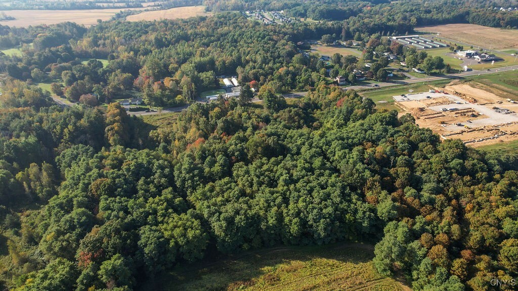 Property Photo: 4647 State Route 31 NY 13041