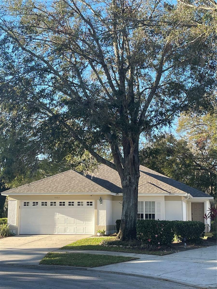 7023 Arcadian Court  Mount Dora FL 32757 photo