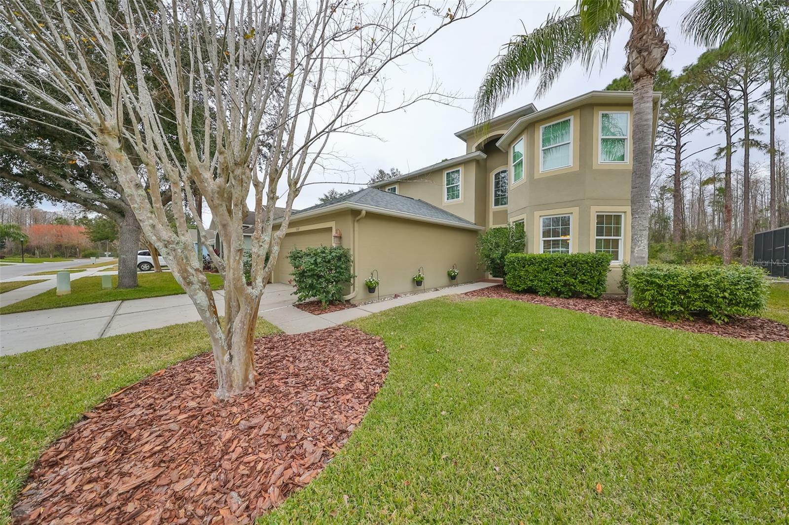 Property Photo:  12127 Luftburrow Lane  FL 34669 