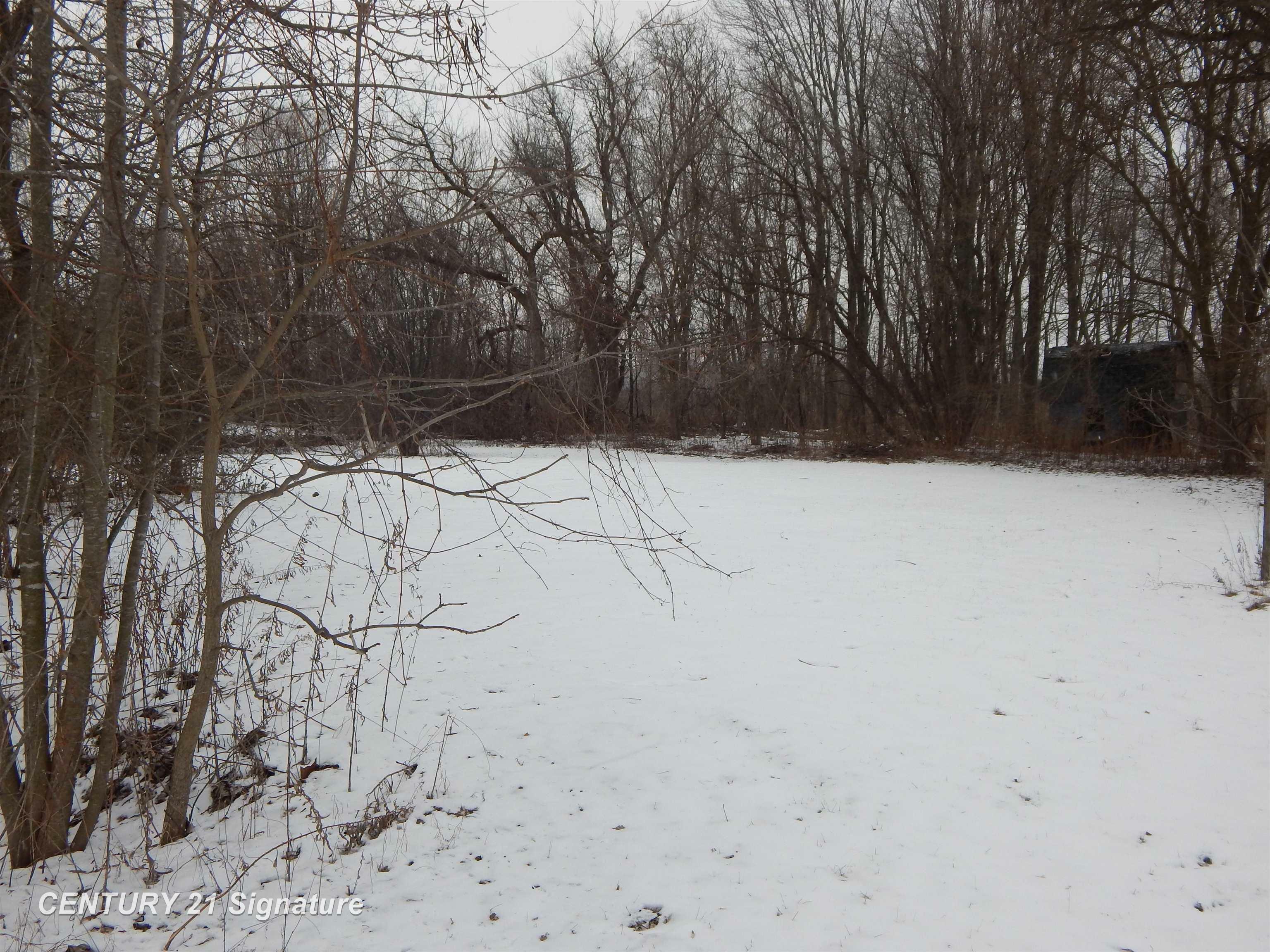 Property Photo:  11038 Farrand Road  MI 48457 