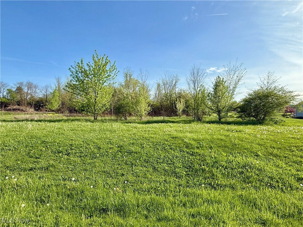 Property Photo: 49451 Foxwood Lane OH 44413