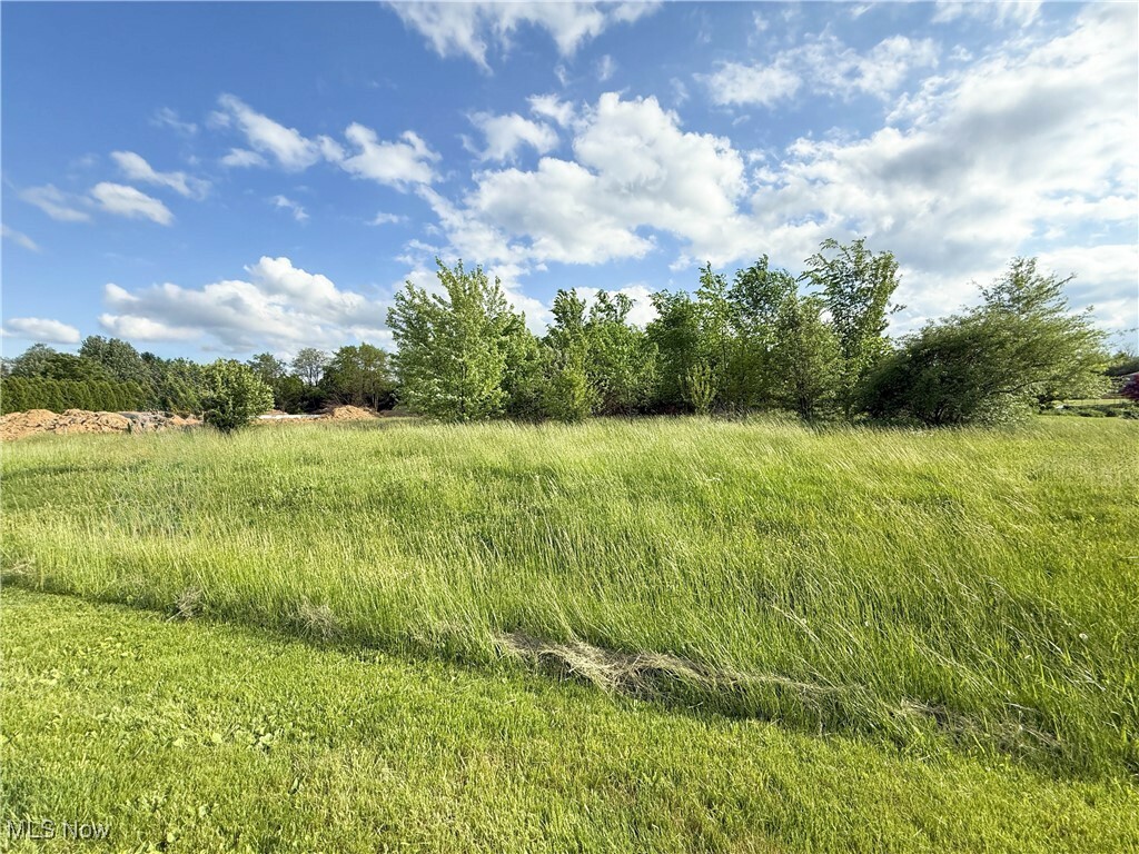 Property Photo: 49451 Foxwood Lane OH 44413
