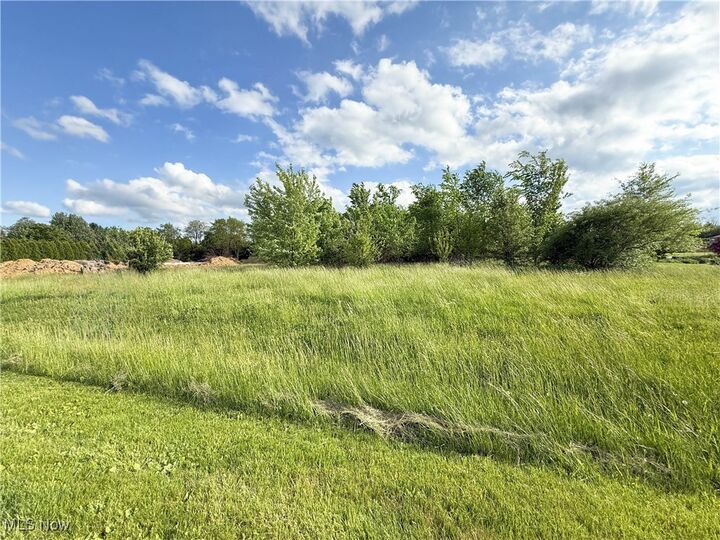 Property Photo:  49451 Foxwood Lane  OH 44413 