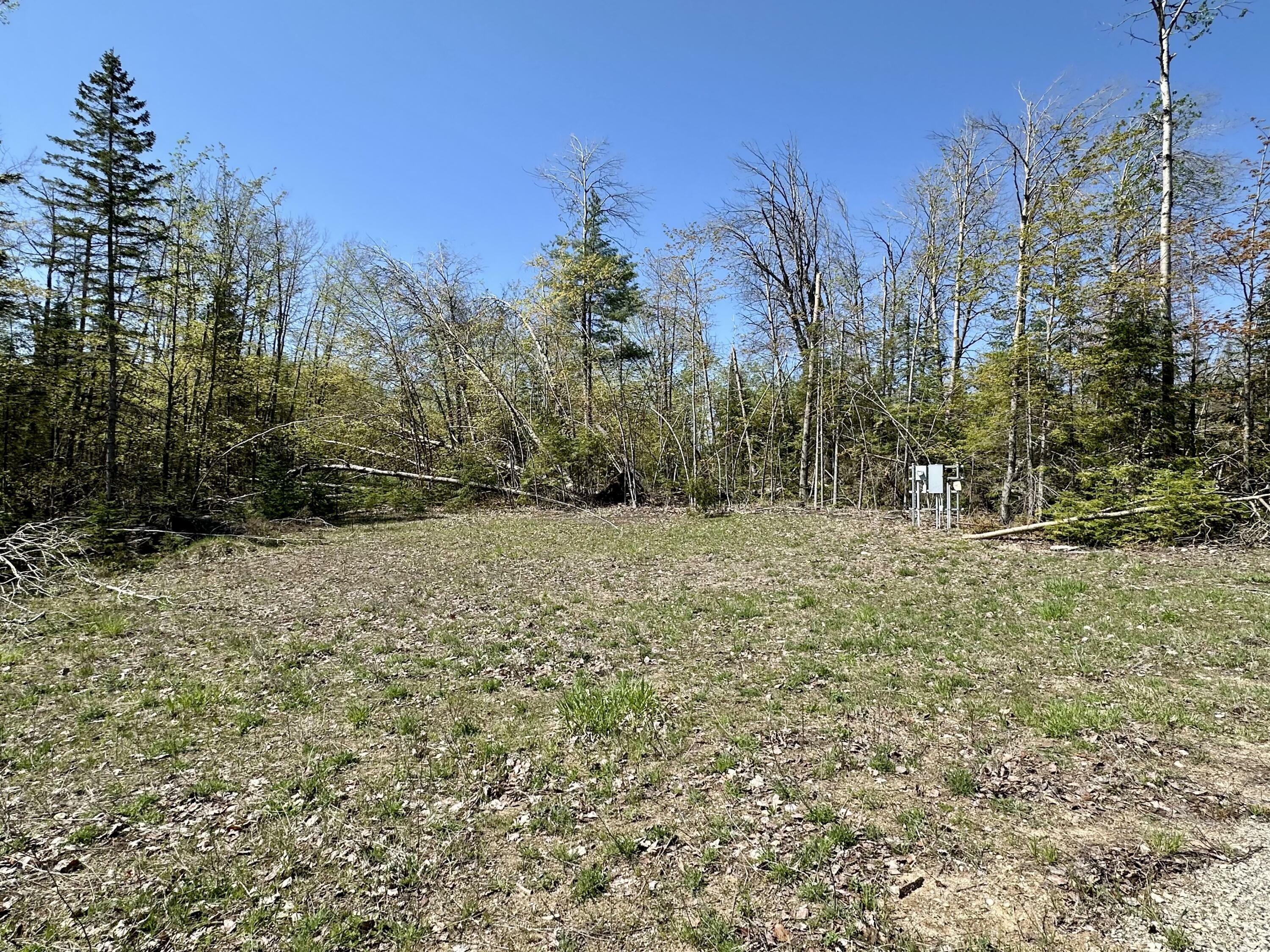 Property Photo: 10999 Koepke Road MI 49755