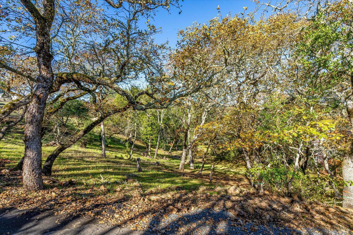 Property Photo: 2869 Bristol Road CA 95452