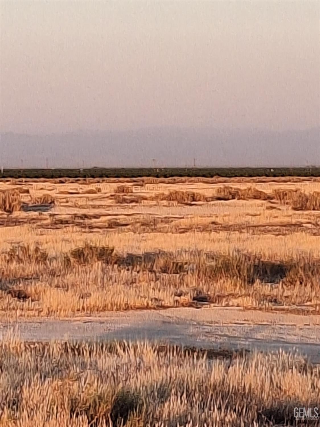 Property Photo: 0 Pond CA 93280