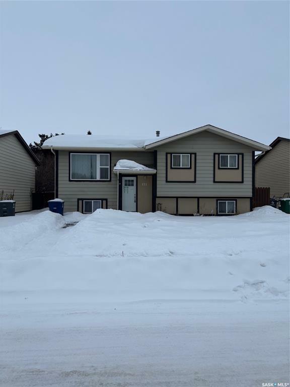 135 Kirkpatrick Crescent  Saskatoon SK S7L 6Z1 photo