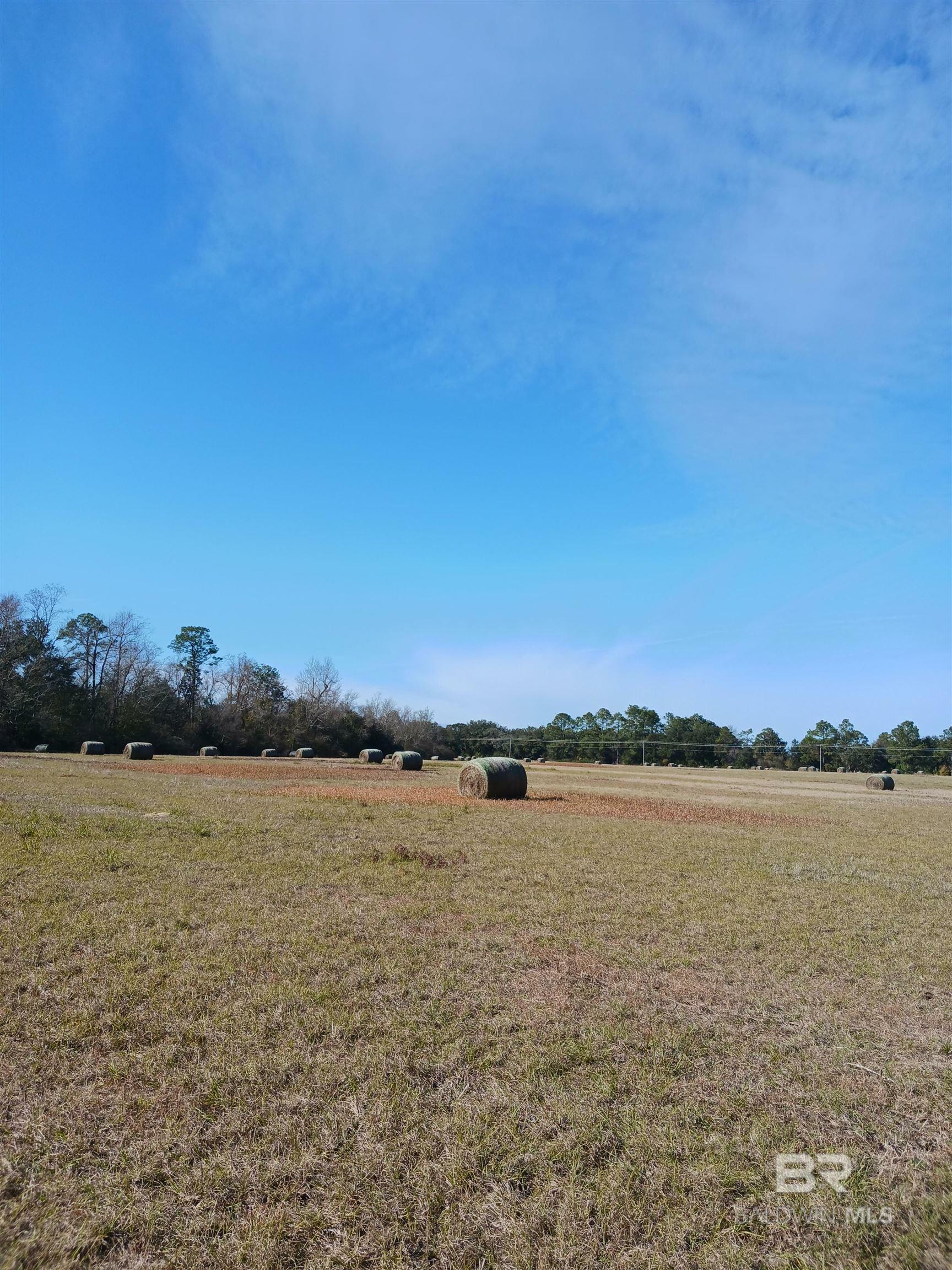 Property Photo:  23486 County Road 36  AL 36580 